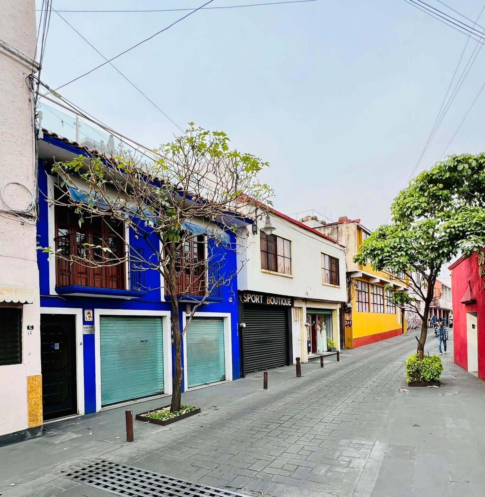 Hotel Casa Frida Cuernavaca Bagian luar foto